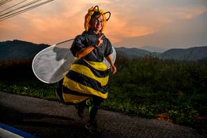 BIB: 
                            <button type="button" onclick="openModal(237588)" class="btn btn-primary btn-sm float-right btn-popup" data-toggle="modal" data-target=".modal-high-quality">
                        <i class="fas fa-shopping-cart"></i> Add to Cart
                    </button>
                                            <button type="button" onclick="isThisMe(237588, true)" class="btn btn-success btn-sm float-right btn-popup btn-isme hidden" data-toggle="tooltip" data-placement="bottom" title="นี่คือรูปของคุณใช่ไหม คลิกที่นี่เพื่อเอาเข้าอัลบั้ม">
                        <i class="fas fa-plus"></i> Add to album
                    </button>
                    <button type="button" onclick="isThisMe(237588, false)" class="btn btn-warning btn-sm float-right btn-popup btn-isnotme hidden">
                        <i class="fas fa-ban"></i> Remove from album
                    </button>