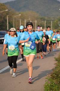 BIB: 289, 8673
                            <button type="button" onclick="openModal(279930)" class="btn btn-primary btn-sm float-right btn-popup" data-toggle="modal" data-target=".modal-high-quality">
                        <i class="fas fa-shopping-cart"></i> Add to Cart
                    </button>
                                            <button type="button" onclick="isThisMe(279930, true)" class="btn btn-success btn-sm float-right btn-popup btn-isme hidden" data-toggle="tooltip" data-placement="bottom" title="นี่คือรูปของคุณใช่ไหม คลิกที่นี่เพื่อเอาเข้าอัลบั้ม">
                        <i class="fas fa-plus"></i> Add to album
                    </button>
                    <button type="button" onclick="isThisMe(279930, false)" class="btn btn-warning btn-sm float-right btn-popup btn-isnotme hidden">
                        <i class="fas fa-ban"></i> Remove from album
                    </button>