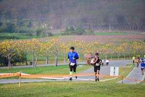 BIB: 
                            <button type="button" onclick="openModal(1440113)" class="btn btn-primary btn-sm float-right btn-popup" data-toggle="modal" data-target=".modal-high-quality">
                        <i class="fas fa-shopping-cart"></i> Add to Cart
                    </button>
                                            <button type="button" onclick="isThisMe(1440113, true)" class="btn btn-success btn-sm float-right btn-popup btn-isme hidden" data-toggle="tooltip" data-placement="bottom" title="นี่คือรูปของคุณใช่ไหม คลิกที่นี่เพื่อเอาเข้าอัลบั้ม">
                        <i class="fas fa-plus"></i> Add to album
                    </button>
                    <button type="button" onclick="isThisMe(1440113, false)" class="btn btn-warning btn-sm float-right btn-popup btn-isnotme hidden">
                        <i class="fas fa-ban"></i> Remove from album
                    </button>