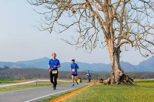 BIB: 
                            <button type="button" onclick="openModal(1469755)" class="btn btn-primary btn-sm float-right btn-popup" data-toggle="modal" data-target=".modal-high-quality">
                        <i class="fas fa-shopping-cart"></i> Add to Cart
                    </button>
                                            <button type="button" onclick="isThisMe(1469755, true)" class="btn btn-success btn-sm float-right btn-popup btn-isme hidden" data-toggle="tooltip" data-placement="bottom" title="นี่คือรูปของคุณใช่ไหม คลิกที่นี่เพื่อเอาเข้าอัลบั้ม">
                        <i class="fas fa-plus"></i> Add to album
                    </button>
                    <button type="button" onclick="isThisMe(1469755, false)" class="btn btn-warning btn-sm float-right btn-popup btn-isnotme hidden">
                        <i class="fas fa-ban"></i> Remove from album
                    </button>