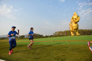 BIB: , 6147
                            <button type="button" onclick="openModal(1423969)" class="btn btn-primary btn-sm float-right btn-popup" data-toggle="modal" data-target=".modal-high-quality">
                        <i class="fas fa-shopping-cart"></i> Add to Cart
                    </button>
                                            <button type="button" onclick="isThisMe(1423969, true)" class="btn btn-success btn-sm float-right btn-popup btn-isme hidden" data-toggle="tooltip" data-placement="bottom" title="นี่คือรูปของคุณใช่ไหม คลิกที่นี่เพื่อเอาเข้าอัลบั้ม">
                        <i class="fas fa-plus"></i> Add to album
                    </button>
                    <button type="button" onclick="isThisMe(1423969, false)" class="btn btn-warning btn-sm float-right btn-popup btn-isnotme hidden">
                        <i class="fas fa-ban"></i> Remove from album
                    </button>