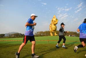 BIB: 
                            <button type="button" onclick="openModal(1423953)" class="btn btn-primary btn-sm float-right btn-popup" data-toggle="modal" data-target=".modal-high-quality">
                        <i class="fas fa-shopping-cart"></i> Add to Cart
                    </button>
                                            <button type="button" onclick="isThisMe(1423953, true)" class="btn btn-success btn-sm float-right btn-popup btn-isme hidden" data-toggle="tooltip" data-placement="bottom" title="นี่คือรูปของคุณใช่ไหม คลิกที่นี่เพื่อเอาเข้าอัลบั้ม">
                        <i class="fas fa-plus"></i> Add to album
                    </button>
                    <button type="button" onclick="isThisMe(1423953, false)" class="btn btn-warning btn-sm float-right btn-popup btn-isnotme hidden">
                        <i class="fas fa-ban"></i> Remove from album
                    </button>