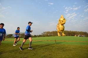 BIB: 6056
                            <button type="button" onclick="openModal(1423956)" class="btn btn-primary btn-sm float-right btn-popup" data-toggle="modal" data-target=".modal-high-quality">
                        <i class="fas fa-shopping-cart"></i> Add to Cart
                    </button>
                                            <button type="button" onclick="isThisMe(1423956, true)" class="btn btn-success btn-sm float-right btn-popup btn-isme hidden" data-toggle="tooltip" data-placement="bottom" title="นี่คือรูปของคุณใช่ไหม คลิกที่นี่เพื่อเอาเข้าอัลบั้ม">
                        <i class="fas fa-plus"></i> Add to album
                    </button>
                    <button type="button" onclick="isThisMe(1423956, false)" class="btn btn-warning btn-sm float-right btn-popup btn-isnotme hidden">
                        <i class="fas fa-ban"></i> Remove from album
                    </button>