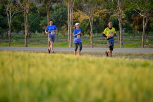 BIB: 
                            <button type="button" onclick="openModal(1435271)" class="btn btn-primary btn-sm float-right btn-popup" data-toggle="modal" data-target=".modal-high-quality">
                        <i class="fas fa-shopping-cart"></i> Add to Cart
                    </button>
                                            <button type="button" onclick="isThisMe(1435271, true)" class="btn btn-success btn-sm float-right btn-popup btn-isme hidden" data-toggle="tooltip" data-placement="bottom" title="นี่คือรูปของคุณใช่ไหม คลิกที่นี่เพื่อเอาเข้าอัลบั้ม">
                        <i class="fas fa-plus"></i> Add to album
                    </button>
                    <button type="button" onclick="isThisMe(1435271, false)" class="btn btn-warning btn-sm float-right btn-popup btn-isnotme hidden">
                        <i class="fas fa-ban"></i> Remove from album
                    </button>