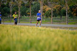 BIB: 
                            <button type="button" onclick="openModal(1435246)" class="btn btn-primary btn-sm float-right btn-popup" data-toggle="modal" data-target=".modal-high-quality">
                        <i class="fas fa-shopping-cart"></i> Add to Cart
                    </button>
                                            <button type="button" onclick="isThisMe(1435246, true)" class="btn btn-success btn-sm float-right btn-popup btn-isme hidden" data-toggle="tooltip" data-placement="bottom" title="นี่คือรูปของคุณใช่ไหม คลิกที่นี่เพื่อเอาเข้าอัลบั้ม">
                        <i class="fas fa-plus"></i> Add to album
                    </button>
                    <button type="button" onclick="isThisMe(1435246, false)" class="btn btn-warning btn-sm float-right btn-popup btn-isnotme hidden">
                        <i class="fas fa-ban"></i> Remove from album
                    </button>