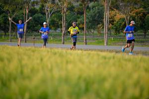 BIB: 
                            <button type="button" onclick="openModal(1435259)" class="btn btn-primary btn-sm float-right btn-popup" data-toggle="modal" data-target=".modal-high-quality">
                        <i class="fas fa-shopping-cart"></i> Add to Cart
                    </button>
                                            <button type="button" onclick="isThisMe(1435259, true)" class="btn btn-success btn-sm float-right btn-popup btn-isme hidden" data-toggle="tooltip" data-placement="bottom" title="นี่คือรูปของคุณใช่ไหม คลิกที่นี่เพื่อเอาเข้าอัลบั้ม">
                        <i class="fas fa-plus"></i> Add to album
                    </button>
                    <button type="button" onclick="isThisMe(1435259, false)" class="btn btn-warning btn-sm float-right btn-popup btn-isnotme hidden">
                        <i class="fas fa-ban"></i> Remove from album
                    </button>