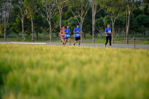 BIB: 
                            <button type="button" onclick="openModal(1435291)" class="btn btn-primary btn-sm float-right btn-popup" data-toggle="modal" data-target=".modal-high-quality">
                        <i class="fas fa-shopping-cart"></i> Add to Cart
                    </button>
                                            <button type="button" onclick="isThisMe(1435291, true)" class="btn btn-success btn-sm float-right btn-popup btn-isme hidden" data-toggle="tooltip" data-placement="bottom" title="นี่คือรูปของคุณใช่ไหม คลิกที่นี่เพื่อเอาเข้าอัลบั้ม">
                        <i class="fas fa-plus"></i> Add to album
                    </button>
                    <button type="button" onclick="isThisMe(1435291, false)" class="btn btn-warning btn-sm float-right btn-popup btn-isnotme hidden">
                        <i class="fas fa-ban"></i> Remove from album
                    </button>