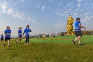 BIB: 
                            <button type="button" onclick="openModal(1457057)" class="btn btn-primary btn-sm float-right btn-popup" data-toggle="modal" data-target=".modal-high-quality">
                        <i class="fas fa-shopping-cart"></i> Add to Cart
                    </button>
                                            <button type="button" onclick="isThisMe(1457057, true)" class="btn btn-success btn-sm float-right btn-popup btn-isme hidden" data-toggle="tooltip" data-placement="bottom" title="นี่คือรูปของคุณใช่ไหม คลิกที่นี่เพื่อเอาเข้าอัลบั้ม">
                        <i class="fas fa-plus"></i> Add to album
                    </button>
                    <button type="button" onclick="isThisMe(1457057, false)" class="btn btn-warning btn-sm float-right btn-popup btn-isnotme hidden">
                        <i class="fas fa-ban"></i> Remove from album
                    </button>