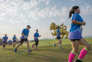 BIB: 
                            <button type="button" onclick="openModal(1454097)" class="btn btn-primary btn-sm float-right btn-popup" data-toggle="modal" data-target=".modal-high-quality">
                        <i class="fas fa-shopping-cart"></i> Add to Cart
                    </button>
                                            <button type="button" onclick="isThisMe(1454097, true)" class="btn btn-success btn-sm float-right btn-popup btn-isme hidden" data-toggle="tooltip" data-placement="bottom" title="นี่คือรูปของคุณใช่ไหม คลิกที่นี่เพื่อเอาเข้าอัลบั้ม">
                        <i class="fas fa-plus"></i> Add to album
                    </button>
                    <button type="button" onclick="isThisMe(1454097, false)" class="btn btn-warning btn-sm float-right btn-popup btn-isnotme hidden">
                        <i class="fas fa-ban"></i> Remove from album
                    </button>