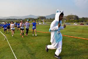 BIB: 
                            <button type="button" onclick="openModal(1424978)" class="btn btn-primary btn-sm float-right btn-popup" data-toggle="modal" data-target=".modal-high-quality">
                        <i class="fas fa-shopping-cart"></i> Add to Cart
                    </button>
                                            <button type="button" onclick="isThisMe(1424978, true)" class="btn btn-success btn-sm float-right btn-popup btn-isme hidden" data-toggle="tooltip" data-placement="bottom" title="นี่คือรูปของคุณใช่ไหม คลิกที่นี่เพื่อเอาเข้าอัลบั้ม">
                        <i class="fas fa-plus"></i> Add to album
                    </button>
                    <button type="button" onclick="isThisMe(1424978, false)" class="btn btn-warning btn-sm float-right btn-popup btn-isnotme hidden">
                        <i class="fas fa-ban"></i> Remove from album
                    </button>