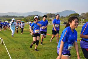 BIB: 8244
                            <button type="button" onclick="openModal(1457984)" class="btn btn-primary btn-sm float-right btn-popup" data-toggle="modal" data-target=".modal-high-quality">
                        <i class="fas fa-shopping-cart"></i> Add to Cart
                    </button>
                                            <button type="button" onclick="isThisMe(1457984, true)" class="btn btn-success btn-sm float-right btn-popup btn-isme hidden" data-toggle="tooltip" data-placement="bottom" title="นี่คือรูปของคุณใช่ไหม คลิกที่นี่เพื่อเอาเข้าอัลบั้ม">
                        <i class="fas fa-plus"></i> Add to album
                    </button>
                    <button type="button" onclick="isThisMe(1457984, false)" class="btn btn-warning btn-sm float-right btn-popup btn-isnotme hidden">
                        <i class="fas fa-ban"></i> Remove from album
                    </button>