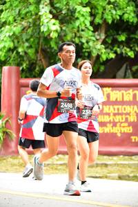 BIB: 2498, 238
                            <button type="button" onclick="openModal(5399011)" class="btn btn-primary btn-sm float-right btn-popup" data-toggle="modal" data-target=".modal-high-quality">
                        <i class="fas fa-shopping-cart"></i> Add to Cart
                    </button>
                                            <button type="button" onclick="isThisMe(5399011, true)" class="btn btn-success btn-sm float-right btn-popup btn-isme hidden" data-toggle="tooltip" data-placement="bottom" title="นี่คือรูปของคุณใช่ไหม คลิกที่นี่เพื่อเอาเข้าอัลบั้ม">
                        <i class="fas fa-plus"></i> Add to album
                    </button>
                    <button type="button" onclick="isThisMe(5399011, false)" class="btn btn-warning btn-sm float-right btn-popup btn-isnotme hidden">
                        <i class="fas fa-ban"></i> Remove from album
                    </button>