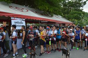 BIB: 2883
                            <button type="button" onclick="openModal(5467686)" class="btn btn-primary btn-sm float-right btn-popup" data-toggle="modal" data-target=".modal-high-quality">
                        <i class="fas fa-shopping-cart"></i> Add to Cart
                    </button>
                                            <button type="button" onclick="isThisMe(5467686, true)" class="btn btn-success btn-sm float-right btn-popup btn-isme hidden" data-toggle="tooltip" data-placement="bottom" title="นี่คือรูปของคุณใช่ไหม คลิกที่นี่เพื่อเอาเข้าอัลบั้ม">
                        <i class="fas fa-plus"></i> Add to album
                    </button>
                    <button type="button" onclick="isThisMe(5467686, false)" class="btn btn-warning btn-sm float-right btn-popup btn-isnotme hidden">
                        <i class="fas fa-ban"></i> Remove from album
                    </button>