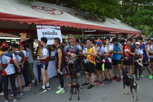 BIB: 2883
                            <button type="button" onclick="openModal(5467687)" class="btn btn-primary btn-sm float-right btn-popup" data-toggle="modal" data-target=".modal-high-quality">
                        <i class="fas fa-shopping-cart"></i> Add to Cart
                    </button>
                                            <button type="button" onclick="isThisMe(5467687, true)" class="btn btn-success btn-sm float-right btn-popup btn-isme hidden" data-toggle="tooltip" data-placement="bottom" title="นี่คือรูปของคุณใช่ไหม คลิกที่นี่เพื่อเอาเข้าอัลบั้ม">
                        <i class="fas fa-plus"></i> Add to album
                    </button>
                    <button type="button" onclick="isThisMe(5467687, false)" class="btn btn-warning btn-sm float-right btn-popup btn-isnotme hidden">
                        <i class="fas fa-ban"></i> Remove from album
                    </button>