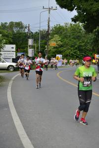 BIB: 2001, 2549
                            <button type="button" onclick="openModal(5366323)" class="btn btn-primary btn-sm float-right btn-popup" data-toggle="modal" data-target=".modal-high-quality">
                        <i class="fas fa-shopping-cart"></i> Add to Cart
                    </button>
                                            <button type="button" onclick="isThisMe(5366323, true)" class="btn btn-success btn-sm float-right btn-popup btn-isme hidden" data-toggle="tooltip" data-placement="bottom" title="นี่คือรูปของคุณใช่ไหม คลิกที่นี่เพื่อเอาเข้าอัลบั้ม">
                        <i class="fas fa-plus"></i> Add to album
                    </button>
                    <button type="button" onclick="isThisMe(5366323, false)" class="btn btn-warning btn-sm float-right btn-popup btn-isnotme hidden">
                        <i class="fas fa-ban"></i> Remove from album
                    </button>