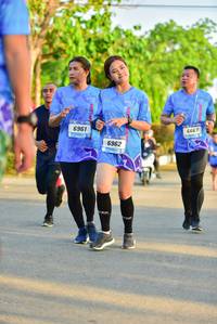 BIB: 6961, 6667, 6962
                            <button type="button" onclick="openModal(3364312)" class="btn btn-primary btn-sm float-right btn-popup" data-toggle="modal" data-target=".modal-high-quality">
                        <i class="fas fa-shopping-cart"></i> Add to Cart
                    </button>
                                            <button type="button" onclick="isThisMe(3364312, true)" class="btn btn-success btn-sm float-right btn-popup btn-isme hidden" data-toggle="tooltip" data-placement="bottom" title="นี่คือรูปของคุณใช่ไหม คลิกที่นี่เพื่อเอาเข้าอัลบั้ม">
                        <i class="fas fa-plus"></i> Add to album
                    </button>
                    <button type="button" onclick="isThisMe(3364312, false)" class="btn btn-warning btn-sm float-right btn-popup btn-isnotme hidden">
                        <i class="fas fa-ban"></i> Remove from album
                    </button>