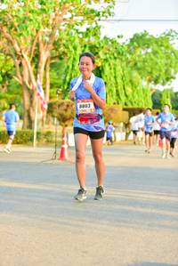 BIB: 8803
                            <button type="button" onclick="openModal(3365150)" class="btn btn-primary btn-sm float-right btn-popup" data-toggle="modal" data-target=".modal-high-quality">
                        <i class="fas fa-shopping-cart"></i> Add to Cart
                    </button>
                                            <button type="button" onclick="isThisMe(3365150, true)" class="btn btn-success btn-sm float-right btn-popup btn-isme hidden" data-toggle="tooltip" data-placement="bottom" title="นี่คือรูปของคุณใช่ไหม คลิกที่นี่เพื่อเอาเข้าอัลบั้ม">
                        <i class="fas fa-plus"></i> Add to album
                    </button>
                    <button type="button" onclick="isThisMe(3365150, false)" class="btn btn-warning btn-sm float-right btn-popup btn-isnotme hidden">
                        <i class="fas fa-ban"></i> Remove from album
                    </button>