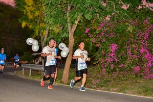 BIB: 
                            <button type="button" onclick="openModal(3439812)" class="btn btn-primary btn-sm float-right btn-popup" data-toggle="modal" data-target=".modal-high-quality">
                        <i class="fas fa-shopping-cart"></i> Add to Cart
                    </button>
                                            <button type="button" onclick="isThisMe(3439812, true)" class="btn btn-success btn-sm float-right btn-popup btn-isme hidden" data-toggle="tooltip" data-placement="bottom" title="นี่คือรูปของคุณใช่ไหม คลิกที่นี่เพื่อเอาเข้าอัลบั้ม">
                        <i class="fas fa-plus"></i> Add to album
                    </button>
                    <button type="button" onclick="isThisMe(3439812, false)" class="btn btn-warning btn-sm float-right btn-popup btn-isnotme hidden">
                        <i class="fas fa-ban"></i> Remove from album
                    </button>