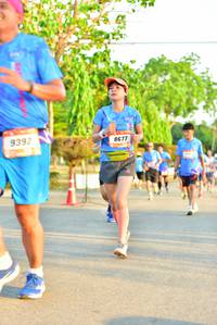 BIB: 9392, 8677
                            <button type="button" onclick="openModal(3365548)" class="btn btn-primary btn-sm float-right btn-popup" data-toggle="modal" data-target=".modal-high-quality">
                        <i class="fas fa-shopping-cart"></i> Add to Cart
                    </button>
                                            <button type="button" onclick="isThisMe(3365548, true)" class="btn btn-success btn-sm float-right btn-popup btn-isme hidden" data-toggle="tooltip" data-placement="bottom" title="นี่คือรูปของคุณใช่ไหม คลิกที่นี่เพื่อเอาเข้าอัลบั้ม">
                        <i class="fas fa-plus"></i> Add to album
                    </button>
                    <button type="button" onclick="isThisMe(3365548, false)" class="btn btn-warning btn-sm float-right btn-popup btn-isnotme hidden">
                        <i class="fas fa-ban"></i> Remove from album
                    </button>