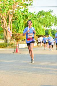 BIB: 8803
                            <button type="button" onclick="openModal(3365151)" class="btn btn-primary btn-sm float-right btn-popup" data-toggle="modal" data-target=".modal-high-quality">
                        <i class="fas fa-shopping-cart"></i> Add to Cart
                    </button>
                                            <button type="button" onclick="isThisMe(3365151, true)" class="btn btn-success btn-sm float-right btn-popup btn-isme hidden" data-toggle="tooltip" data-placement="bottom" title="นี่คือรูปของคุณใช่ไหม คลิกที่นี่เพื่อเอาเข้าอัลบั้ม">
                        <i class="fas fa-plus"></i> Add to album
                    </button>
                    <button type="button" onclick="isThisMe(3365151, false)" class="btn btn-warning btn-sm float-right btn-popup btn-isnotme hidden">
                        <i class="fas fa-ban"></i> Remove from album
                    </button>