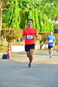 BIB: 6647
                            <button type="button" onclick="openModal(3361700)" class="btn btn-primary btn-sm float-right btn-popup" data-toggle="modal" data-target=".modal-high-quality">
                        <i class="fas fa-shopping-cart"></i> Add to Cart
                    </button>
                                            <button type="button" onclick="isThisMe(3361700, true)" class="btn btn-success btn-sm float-right btn-popup btn-isme hidden" data-toggle="tooltip" data-placement="bottom" title="นี่คือรูปของคุณใช่ไหม คลิกที่นี่เพื่อเอาเข้าอัลบั้ม">
                        <i class="fas fa-plus"></i> Add to album
                    </button>
                    <button type="button" onclick="isThisMe(3361700, false)" class="btn btn-warning btn-sm float-right btn-popup btn-isnotme hidden">
                        <i class="fas fa-ban"></i> Remove from album
                    </button>