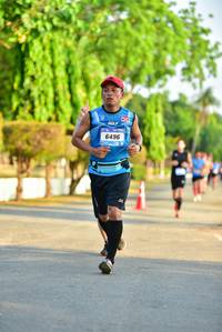 BIB: 6496
                            <button type="button" onclick="openModal(3361804)" class="btn btn-primary btn-sm float-right btn-popup" data-toggle="modal" data-target=".modal-high-quality">
                        <i class="fas fa-shopping-cart"></i> Add to Cart
                    </button>
                                            <button type="button" onclick="isThisMe(3361804, true)" class="btn btn-success btn-sm float-right btn-popup btn-isme hidden" data-toggle="tooltip" data-placement="bottom" title="นี่คือรูปของคุณใช่ไหม คลิกที่นี่เพื่อเอาเข้าอัลบั้ม">
                        <i class="fas fa-plus"></i> Add to album
                    </button>
                    <button type="button" onclick="isThisMe(3361804, false)" class="btn btn-warning btn-sm float-right btn-popup btn-isnotme hidden">
                        <i class="fas fa-ban"></i> Remove from album
                    </button>