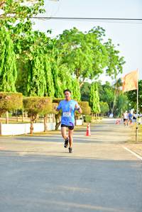 BIB: 6753
                            <button type="button" onclick="openModal(3361331)" class="btn btn-primary btn-sm float-right btn-popup" data-toggle="modal" data-target=".modal-high-quality">
                        <i class="fas fa-shopping-cart"></i> Add to Cart
                    </button>
                                            <button type="button" onclick="isThisMe(3361331, true)" class="btn btn-success btn-sm float-right btn-popup btn-isme hidden" data-toggle="tooltip" data-placement="bottom" title="นี่คือรูปของคุณใช่ไหม คลิกที่นี่เพื่อเอาเข้าอัลบั้ม">
                        <i class="fas fa-plus"></i> Add to album
                    </button>
                    <button type="button" onclick="isThisMe(3361331, false)" class="btn btn-warning btn-sm float-right btn-popup btn-isnotme hidden">
                        <i class="fas fa-ban"></i> Remove from album
                    </button>