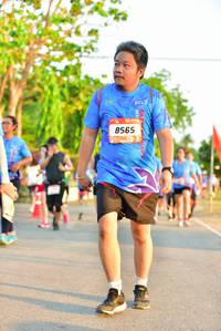 BIB: 8565
                            <button type="button" onclick="openModal(3435405)" class="btn btn-primary btn-sm float-right btn-popup" data-toggle="modal" data-target=".modal-high-quality">
                        <i class="fas fa-shopping-cart"></i> Add to Cart
                    </button>
                                            <button type="button" onclick="isThisMe(3435405, true)" class="btn btn-success btn-sm float-right btn-popup btn-isme hidden" data-toggle="tooltip" data-placement="bottom" title="นี่คือรูปของคุณใช่ไหม คลิกที่นี่เพื่อเอาเข้าอัลบั้ม">
                        <i class="fas fa-plus"></i> Add to album
                    </button>
                    <button type="button" onclick="isThisMe(3435405, false)" class="btn btn-warning btn-sm float-right btn-popup btn-isnotme hidden">
                        <i class="fas fa-ban"></i> Remove from album
                    </button>