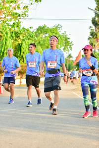BIB: 9458, 8011, 8995
                            <button type="button" onclick="openModal(3365057)" class="btn btn-primary btn-sm float-right btn-popup" data-toggle="modal" data-target=".modal-high-quality">
                        <i class="fas fa-shopping-cart"></i> Add to Cart
                    </button>
                                            <button type="button" onclick="isThisMe(3365057, true)" class="btn btn-success btn-sm float-right btn-popup btn-isme hidden" data-toggle="tooltip" data-placement="bottom" title="นี่คือรูปของคุณใช่ไหม คลิกที่นี่เพื่อเอาเข้าอัลบั้ม">
                        <i class="fas fa-plus"></i> Add to album
                    </button>
                    <button type="button" onclick="isThisMe(3365057, false)" class="btn btn-warning btn-sm float-right btn-popup btn-isnotme hidden">
                        <i class="fas fa-ban"></i> Remove from album
                    </button>