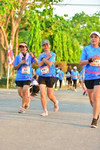 BIB: 741, 9287
                            <button type="button" onclick="openModal(3435457)" class="btn btn-primary btn-sm float-right btn-popup" data-toggle="modal" data-target=".modal-high-quality">
                        <i class="fas fa-shopping-cart"></i> Add to Cart
                    </button>
                                            <button type="button" onclick="isThisMe(3435457, true)" class="btn btn-success btn-sm float-right btn-popup btn-isme hidden" data-toggle="tooltip" data-placement="bottom" title="นี่คือรูปของคุณใช่ไหม คลิกที่นี่เพื่อเอาเข้าอัลบั้ม">
                        <i class="fas fa-plus"></i> Add to album
                    </button>
                    <button type="button" onclick="isThisMe(3435457, false)" class="btn btn-warning btn-sm float-right btn-popup btn-isnotme hidden">
                        <i class="fas fa-ban"></i> Remove from album
                    </button>