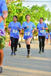 BIB: 6961, 6667, 6962
                            <button type="button" onclick="openModal(3364309)" class="btn btn-primary btn-sm float-right btn-popup" data-toggle="modal" data-target=".modal-high-quality">
                        <i class="fas fa-shopping-cart"></i> Add to Cart
                    </button>
                                            <button type="button" onclick="isThisMe(3364309, true)" class="btn btn-success btn-sm float-right btn-popup btn-isme hidden" data-toggle="tooltip" data-placement="bottom" title="นี่คือรูปของคุณใช่ไหม คลิกที่นี่เพื่อเอาเข้าอัลบั้ม">
                        <i class="fas fa-plus"></i> Add to album
                    </button>
                    <button type="button" onclick="isThisMe(3364309, false)" class="btn btn-warning btn-sm float-right btn-popup btn-isnotme hidden">
                        <i class="fas fa-ban"></i> Remove from album
                    </button>