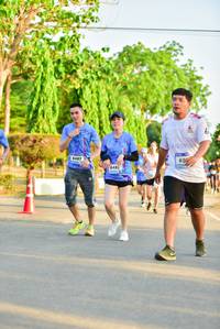 BIB: 6483, 6482
                            <button type="button" onclick="openModal(3364053)" class="btn btn-primary btn-sm float-right btn-popup" data-toggle="modal" data-target=".modal-high-quality">
                        <i class="fas fa-shopping-cart"></i> Add to Cart
                    </button>
                                            <button type="button" onclick="isThisMe(3364053, true)" class="btn btn-success btn-sm float-right btn-popup btn-isme hidden" data-toggle="tooltip" data-placement="bottom" title="นี่คือรูปของคุณใช่ไหม คลิกที่นี่เพื่อเอาเข้าอัลบั้ม">
                        <i class="fas fa-plus"></i> Add to album
                    </button>
                    <button type="button" onclick="isThisMe(3364053, false)" class="btn btn-warning btn-sm float-right btn-popup btn-isnotme hidden">
                        <i class="fas fa-ban"></i> Remove from album
                    </button>