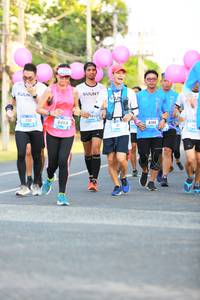 BIB: 6008, 6186
                            <button type="button" onclick="openModal(3234241)" class="btn btn-primary btn-sm float-right btn-popup" data-toggle="modal" data-target=".modal-high-quality">
                        <i class="fas fa-shopping-cart"></i> Add to Cart
                    </button>
                                            <button type="button" onclick="isThisMe(3234241, true)" class="btn btn-success btn-sm float-right btn-popup btn-isme hidden" data-toggle="tooltip" data-placement="bottom" title="นี่คือรูปของคุณใช่ไหม คลิกที่นี่เพื่อเอาเข้าอัลบั้ม">
                        <i class="fas fa-plus"></i> Add to album
                    </button>
                    <button type="button" onclick="isThisMe(3234241, false)" class="btn btn-warning btn-sm float-right btn-popup btn-isnotme hidden">
                        <i class="fas fa-ban"></i> Remove from album
                    </button>