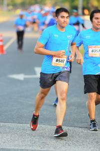 BIB: 8357, 8502
                            <button type="button" onclick="openModal(3237026)" class="btn btn-primary btn-sm float-right btn-popup" data-toggle="modal" data-target=".modal-high-quality">
                        <i class="fas fa-shopping-cart"></i> Add to Cart
                    </button>
                                            <button type="button" onclick="isThisMe(3237026, true)" class="btn btn-success btn-sm float-right btn-popup btn-isme hidden" data-toggle="tooltip" data-placement="bottom" title="นี่คือรูปของคุณใช่ไหม คลิกที่นี่เพื่อเอาเข้าอัลบั้ม">
                        <i class="fas fa-plus"></i> Add to album
                    </button>
                    <button type="button" onclick="isThisMe(3237026, false)" class="btn btn-warning btn-sm float-right btn-popup btn-isnotme hidden">
                        <i class="fas fa-ban"></i> Remove from album
                    </button>