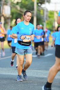 BIB: 
                            <button type="button" onclick="openModal(3316808)" class="btn btn-primary btn-sm float-right btn-popup" data-toggle="modal" data-target=".modal-high-quality">
                        <i class="fas fa-shopping-cart"></i> Add to Cart
                    </button>
                                            <button type="button" onclick="isThisMe(3316808, true)" class="btn btn-success btn-sm float-right btn-popup btn-isme hidden" data-toggle="tooltip" data-placement="bottom" title="นี่คือรูปของคุณใช่ไหม คลิกที่นี่เพื่อเอาเข้าอัลบั้ม">
                        <i class="fas fa-plus"></i> Add to album
                    </button>
                    <button type="button" onclick="isThisMe(3316808, false)" class="btn btn-warning btn-sm float-right btn-popup btn-isnotme hidden">
                        <i class="fas fa-ban"></i> Remove from album
                    </button>