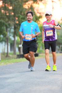 BIB: 8339, 8356
                            <button type="button" onclick="openModal(3372164)" class="btn btn-primary btn-sm float-right btn-popup" data-toggle="modal" data-target=".modal-high-quality">
                        <i class="fas fa-shopping-cart"></i> Add to Cart
                    </button>
                                            <button type="button" onclick="isThisMe(3372164, true)" class="btn btn-success btn-sm float-right btn-popup btn-isme hidden" data-toggle="tooltip" data-placement="bottom" title="นี่คือรูปของคุณใช่ไหม คลิกที่นี่เพื่อเอาเข้าอัลบั้ม">
                        <i class="fas fa-plus"></i> Add to album
                    </button>
                    <button type="button" onclick="isThisMe(3372164, false)" class="btn btn-warning btn-sm float-right btn-popup btn-isnotme hidden">
                        <i class="fas fa-ban"></i> Remove from album
                    </button>