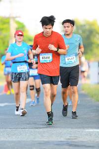 BIB: 6544, 6543, 542
                            <button type="button" onclick="openModal(3312594)" class="btn btn-primary btn-sm float-right btn-popup" data-toggle="modal" data-target=".modal-high-quality">
                        <i class="fas fa-shopping-cart"></i> Add to Cart
                    </button>
                                            <button type="button" onclick="isThisMe(3312594, true)" class="btn btn-success btn-sm float-right btn-popup btn-isme hidden" data-toggle="tooltip" data-placement="bottom" title="นี่คือรูปของคุณใช่ไหม คลิกที่นี่เพื่อเอาเข้าอัลบั้ม">
                        <i class="fas fa-plus"></i> Add to album
                    </button>
                    <button type="button" onclick="isThisMe(3312594, false)" class="btn btn-warning btn-sm float-right btn-popup btn-isnotme hidden">
                        <i class="fas fa-ban"></i> Remove from album
                    </button>