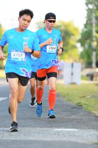 BIB: 6960, 6753
                            <button type="button" onclick="openModal(3148016)" class="btn btn-primary btn-sm float-right btn-popup" data-toggle="modal" data-target=".modal-high-quality">
                        <i class="fas fa-shopping-cart"></i> Add to Cart
                    </button>
                                            <button type="button" onclick="isThisMe(3148016, true)" class="btn btn-success btn-sm float-right btn-popup btn-isme hidden" data-toggle="tooltip" data-placement="bottom" title="นี่คือรูปของคุณใช่ไหม คลิกที่นี่เพื่อเอาเข้าอัลบั้ม">
                        <i class="fas fa-plus"></i> Add to album
                    </button>
                    <button type="button" onclick="isThisMe(3148016, false)" class="btn btn-warning btn-sm float-right btn-popup btn-isnotme hidden">
                        <i class="fas fa-ban"></i> Remove from album
                    </button>