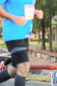 BIB: 
                            <button type="button" onclick="openModal(3317016)" class="btn btn-primary btn-sm float-right btn-popup" data-toggle="modal" data-target=".modal-high-quality">
                        <i class="fas fa-shopping-cart"></i> Add to Cart
                    </button>
                                            <button type="button" onclick="isThisMe(3317016, true)" class="btn btn-success btn-sm float-right btn-popup btn-isme hidden" data-toggle="tooltip" data-placement="bottom" title="นี่คือรูปของคุณใช่ไหม คลิกที่นี่เพื่อเอาเข้าอัลบั้ม">
                        <i class="fas fa-plus"></i> Add to album
                    </button>
                    <button type="button" onclick="isThisMe(3317016, false)" class="btn btn-warning btn-sm float-right btn-popup btn-isnotme hidden">
                        <i class="fas fa-ban"></i> Remove from album
                    </button>