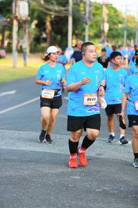 BIB: 8965, 8644
                            <button type="button" onclick="openModal(3316528)" class="btn btn-primary btn-sm float-right btn-popup" data-toggle="modal" data-target=".modal-high-quality">
                        <i class="fas fa-shopping-cart"></i> Add to Cart
                    </button>
                                            <button type="button" onclick="isThisMe(3316528, true)" class="btn btn-success btn-sm float-right btn-popup btn-isme hidden" data-toggle="tooltip" data-placement="bottom" title="นี่คือรูปของคุณใช่ไหม คลิกที่นี่เพื่อเอาเข้าอัลบั้ม">
                        <i class="fas fa-plus"></i> Add to album
                    </button>
                    <button type="button" onclick="isThisMe(3316528, false)" class="btn btn-warning btn-sm float-right btn-popup btn-isnotme hidden">
                        <i class="fas fa-ban"></i> Remove from album
                    </button>