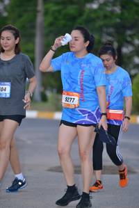 BIB: 9277
                            <button type="button" onclick="openModal(3203262)" class="btn btn-primary btn-sm float-right btn-popup" data-toggle="modal" data-target=".modal-high-quality">
                        <i class="fas fa-shopping-cart"></i> Add to Cart
                    </button>
                                            <button type="button" onclick="isThisMe(3203262, true)" class="btn btn-success btn-sm float-right btn-popup btn-isme hidden" data-toggle="tooltip" data-placement="bottom" title="นี่คือรูปของคุณใช่ไหม คลิกที่นี่เพื่อเอาเข้าอัลบั้ม">
                        <i class="fas fa-plus"></i> Add to album
                    </button>
                    <button type="button" onclick="isThisMe(3203262, false)" class="btn btn-warning btn-sm float-right btn-popup btn-isnotme hidden">
                        <i class="fas fa-ban"></i> Remove from album
                    </button>