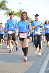 BIB: 8154, 019, 8586
                            <button type="button" onclick="openModal(3161533)" class="btn btn-primary btn-sm float-right btn-popup" data-toggle="modal" data-target=".modal-high-quality">
                        <i class="fas fa-shopping-cart"></i> Add to Cart
                    </button>
                                            <button type="button" onclick="isThisMe(3161533, true)" class="btn btn-success btn-sm float-right btn-popup btn-isme hidden" data-toggle="tooltip" data-placement="bottom" title="นี่คือรูปของคุณใช่ไหม คลิกที่นี่เพื่อเอาเข้าอัลบั้ม">
                        <i class="fas fa-plus"></i> Add to album
                    </button>
                    <button type="button" onclick="isThisMe(3161533, false)" class="btn btn-warning btn-sm float-right btn-popup btn-isnotme hidden">
                        <i class="fas fa-ban"></i> Remove from album
                    </button>