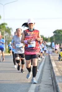 BIB: 682, 6643
                            <button type="button" onclick="openModal(3137278)" class="btn btn-primary btn-sm float-right btn-popup" data-toggle="modal" data-target=".modal-high-quality">
                        <i class="fas fa-shopping-cart"></i> Add to Cart
                    </button>
                                            <button type="button" onclick="isThisMe(3137278, true)" class="btn btn-success btn-sm float-right btn-popup btn-isme hidden" data-toggle="tooltip" data-placement="bottom" title="นี่คือรูปของคุณใช่ไหม คลิกที่นี่เพื่อเอาเข้าอัลบั้ม">
                        <i class="fas fa-plus"></i> Add to album
                    </button>
                    <button type="button" onclick="isThisMe(3137278, false)" class="btn btn-warning btn-sm float-right btn-popup btn-isnotme hidden">
                        <i class="fas fa-ban"></i> Remove from album
                    </button>