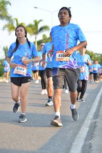 BIB: 8304
                            <button type="button" onclick="openModal(3162479)" class="btn btn-primary btn-sm float-right btn-popup" data-toggle="modal" data-target=".modal-high-quality">
                        <i class="fas fa-shopping-cart"></i> Add to Cart
                    </button>
                                            <button type="button" onclick="isThisMe(3162479, true)" class="btn btn-success btn-sm float-right btn-popup btn-isme hidden" data-toggle="tooltip" data-placement="bottom" title="นี่คือรูปของคุณใช่ไหม คลิกที่นี่เพื่อเอาเข้าอัลบั้ม">
                        <i class="fas fa-plus"></i> Add to album
                    </button>
                    <button type="button" onclick="isThisMe(3162479, false)" class="btn btn-warning btn-sm float-right btn-popup btn-isnotme hidden">
                        <i class="fas fa-ban"></i> Remove from album
                    </button>