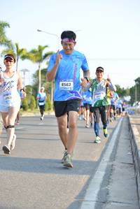 BIB: 6563, 693
                            <button type="button" onclick="openModal(3134503)" class="btn btn-primary btn-sm float-right btn-popup" data-toggle="modal" data-target=".modal-high-quality">
                        <i class="fas fa-shopping-cart"></i> Add to Cart
                    </button>
                                            <button type="button" onclick="isThisMe(3134503, true)" class="btn btn-success btn-sm float-right btn-popup btn-isme hidden" data-toggle="tooltip" data-placement="bottom" title="นี่คือรูปของคุณใช่ไหม คลิกที่นี่เพื่อเอาเข้าอัลบั้ม">
                        <i class="fas fa-plus"></i> Add to album
                    </button>
                    <button type="button" onclick="isThisMe(3134503, false)" class="btn btn-warning btn-sm float-right btn-popup btn-isnotme hidden">
                        <i class="fas fa-ban"></i> Remove from album
                    </button>