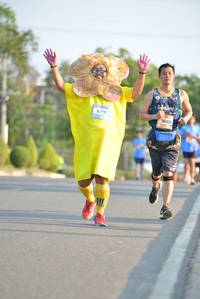 BIB: 6793, 9602
                            <button type="button" onclick="openModal(3147223)" class="btn btn-primary btn-sm float-right btn-popup" data-toggle="modal" data-target=".modal-high-quality">
                        <i class="fas fa-shopping-cart"></i> Add to Cart
                    </button>
                                            <button type="button" onclick="isThisMe(3147223, true)" class="btn btn-success btn-sm float-right btn-popup btn-isme hidden" data-toggle="tooltip" data-placement="bottom" title="นี่คือรูปของคุณใช่ไหม คลิกที่นี่เพื่อเอาเข้าอัลบั้ม">
                        <i class="fas fa-plus"></i> Add to album
                    </button>
                    <button type="button" onclick="isThisMe(3147223, false)" class="btn btn-warning btn-sm float-right btn-popup btn-isnotme hidden">
                        <i class="fas fa-ban"></i> Remove from album
                    </button>