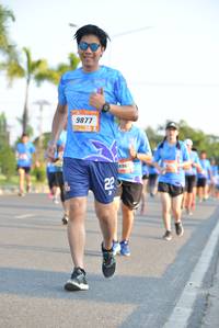 BIB: 9877
                            <button type="button" onclick="openModal(3151612)" class="btn btn-primary btn-sm float-right btn-popup" data-toggle="modal" data-target=".modal-high-quality">
                        <i class="fas fa-shopping-cart"></i> Add to Cart
                    </button>
                                            <button type="button" onclick="isThisMe(3151612, true)" class="btn btn-success btn-sm float-right btn-popup btn-isme hidden" data-toggle="tooltip" data-placement="bottom" title="นี่คือรูปของคุณใช่ไหม คลิกที่นี่เพื่อเอาเข้าอัลบั้ม">
                        <i class="fas fa-plus"></i> Add to album
                    </button>
                    <button type="button" onclick="isThisMe(3151612, false)" class="btn btn-warning btn-sm float-right btn-popup btn-isnotme hidden">
                        <i class="fas fa-ban"></i> Remove from album
                    </button>