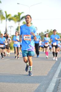 BIB: 8439
                            <button type="button" onclick="openModal(3150291)" class="btn btn-primary btn-sm float-right btn-popup" data-toggle="modal" data-target=".modal-high-quality">
                        <i class="fas fa-shopping-cart"></i> Add to Cart
                    </button>
                                            <button type="button" onclick="isThisMe(3150291, true)" class="btn btn-success btn-sm float-right btn-popup btn-isme hidden" data-toggle="tooltip" data-placement="bottom" title="นี่คือรูปของคุณใช่ไหม คลิกที่นี่เพื่อเอาเข้าอัลบั้ม">
                        <i class="fas fa-plus"></i> Add to album
                    </button>
                    <button type="button" onclick="isThisMe(3150291, false)" class="btn btn-warning btn-sm float-right btn-popup btn-isnotme hidden">
                        <i class="fas fa-ban"></i> Remove from album
                    </button>