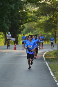 BIB: 
                            <button type="button" onclick="openModal(3407498)" class="btn btn-primary btn-sm float-right btn-popup" data-toggle="modal" data-target=".modal-high-quality">
                        <i class="fas fa-shopping-cart"></i> Add to Cart
                    </button>
                                            <button type="button" onclick="isThisMe(3407498, true)" class="btn btn-success btn-sm float-right btn-popup btn-isme hidden" data-toggle="tooltip" data-placement="bottom" title="นี่คือรูปของคุณใช่ไหม คลิกที่นี่เพื่อเอาเข้าอัลบั้ม">
                        <i class="fas fa-plus"></i> Add to album
                    </button>
                    <button type="button" onclick="isThisMe(3407498, false)" class="btn btn-warning btn-sm float-right btn-popup btn-isnotme hidden">
                        <i class="fas fa-ban"></i> Remove from album
                    </button>