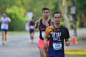 BIB: 6211
                            <button type="button" onclick="openModal(3405340)" class="btn btn-primary btn-sm float-right btn-popup" data-toggle="modal" data-target=".modal-high-quality">
                        <i class="fas fa-shopping-cart"></i> Add to Cart
                    </button>
                                            <button type="button" onclick="isThisMe(3405340, true)" class="btn btn-success btn-sm float-right btn-popup btn-isme hidden" data-toggle="tooltip" data-placement="bottom" title="นี่คือรูปของคุณใช่ไหม คลิกที่นี่เพื่อเอาเข้าอัลบั้ม">
                        <i class="fas fa-plus"></i> Add to album
                    </button>
                    <button type="button" onclick="isThisMe(3405340, false)" class="btn btn-warning btn-sm float-right btn-popup btn-isnotme hidden">
                        <i class="fas fa-ban"></i> Remove from album
                    </button>